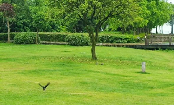 約定離職反悔怎么辦呢？(圖1)