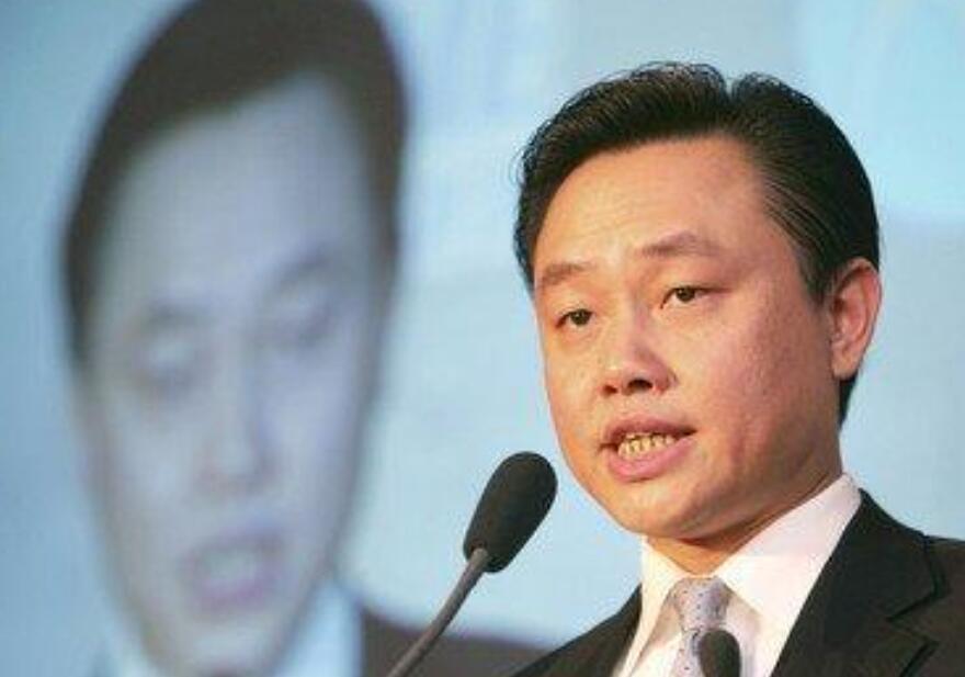 CEO向海龍的離職為何會給國美重大的打擊呢？(圖1)