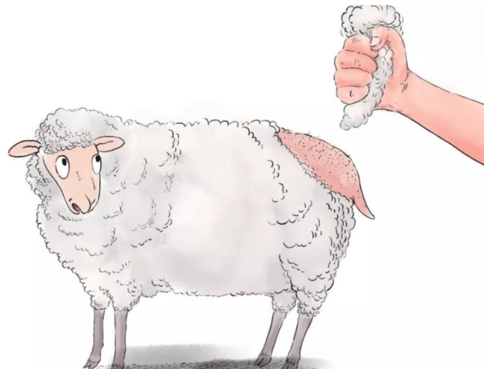 離職操作“薅羊毛”為什么會被抓的風(fēng)險呢？(圖1)