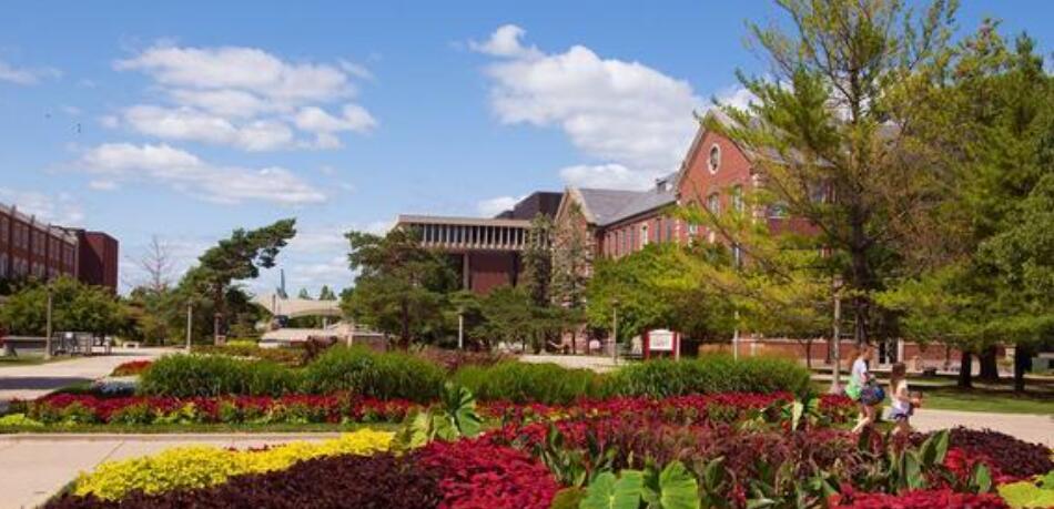 大學(xué)生到底選擇實(shí)習(xí)工作還是專升本呢？(圖1)