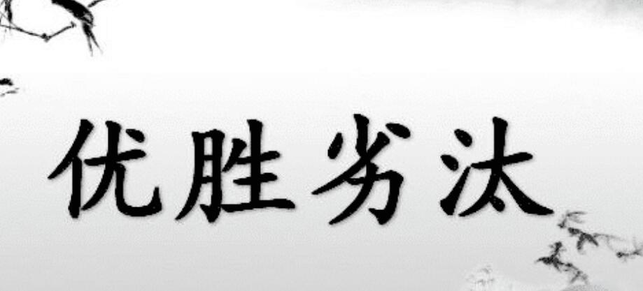 為什么卻讓越來越多的人陷入離職焦慮呢？(圖1)