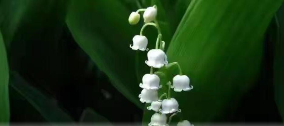 職場(chǎng)中遇到哪些信號(hào)說(shuō)明你將被離職呢？(圖1)