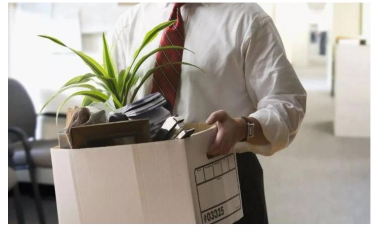 女研究所被本科老公勸離職為什么呢？(圖1)