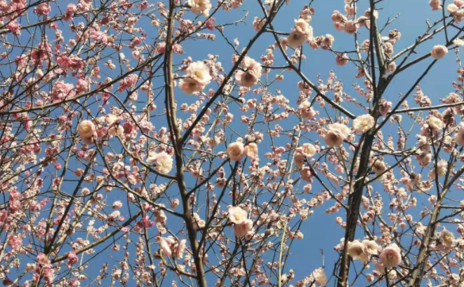 員工和新領導關系不好要不要離職呢？(圖1)