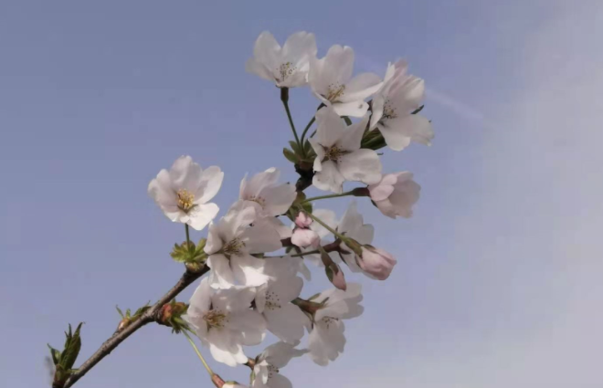 離職時要不要告訴同事自己的去向？(圖1)