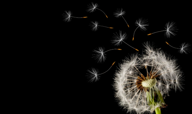 一個(gè)優(yōu)秀員工離職對(duì)公司的成本有多高呢？(圖1)