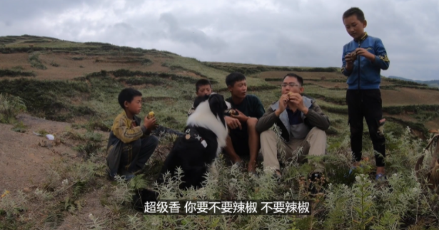 小伙26歲離職，帶著狗游遍半個中國是真的嗎？(圖1)