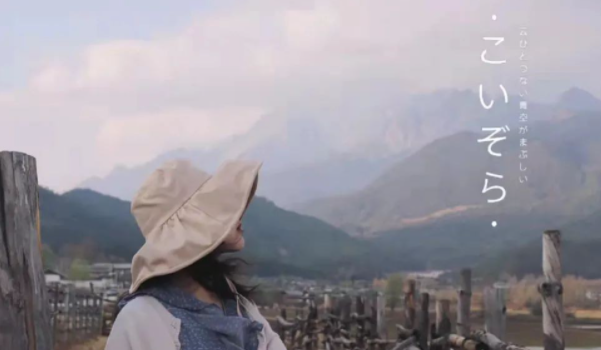 離職調(diào)研：辭職充足的理由到底有哪些？(圖1)